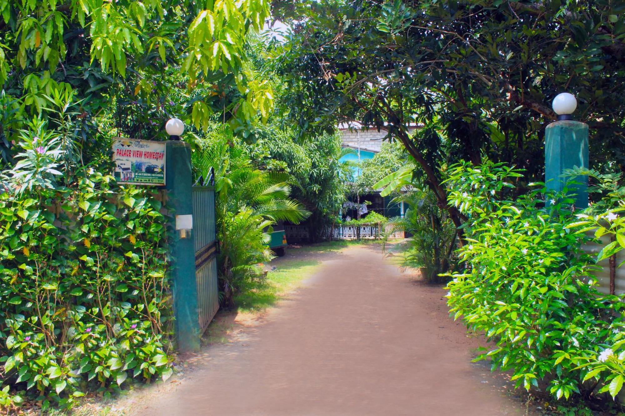 Sigiriya Palace View Exterior foto
